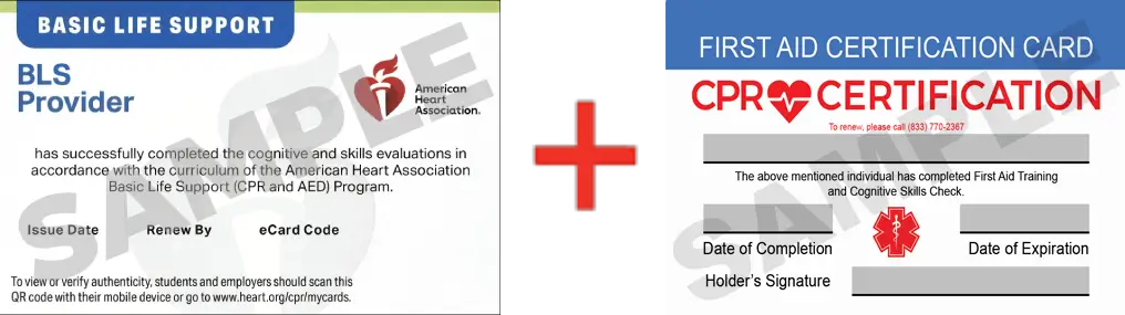 Sample American Heart Association AHA BLS CPR Card Certification and First Aid Certification Card from CPR Certification Tampa